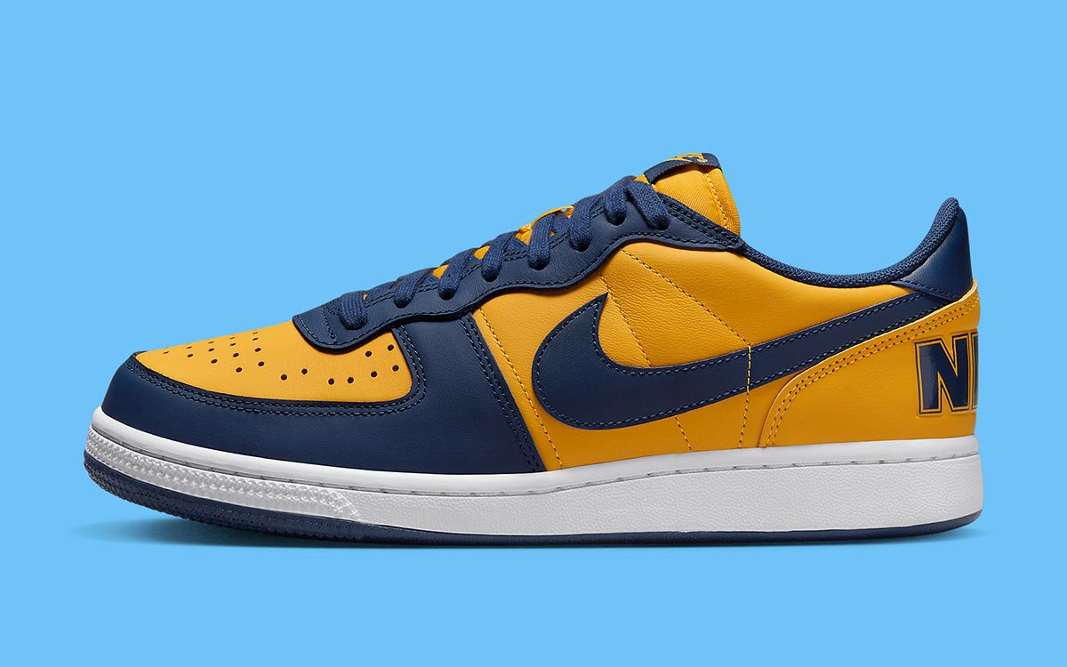 The Nike Terminator Low “Michigan” Releases June 13 | House of Heat°